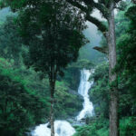 Karnataka During Monsoon