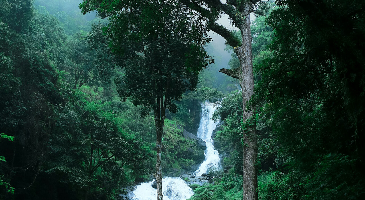 Top 5 Must-Visit Places in Karnataka During Monsoon
